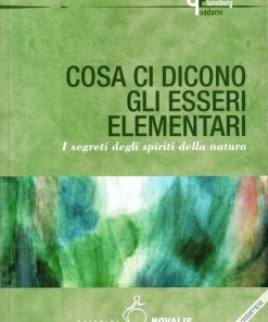 Cosa ci dicono gli essere elementari – QF 10