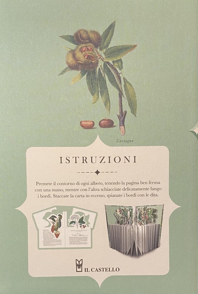 Gli alberi - immagine 3